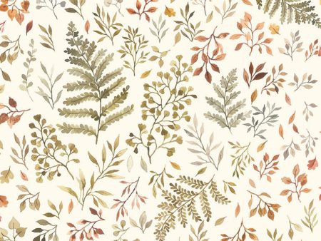 Autumn Ferns and Leaves in Cream For Cheap