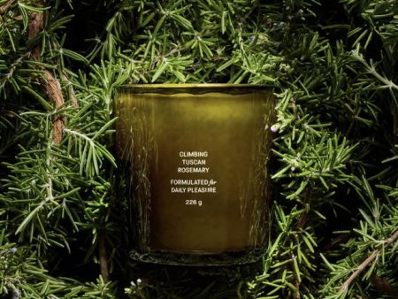 Climbing Tuscan Rosemary Candle Fashion