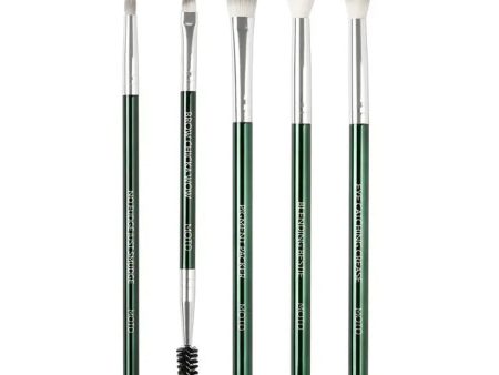 Starter Eye Makeup Brush Set For Sale