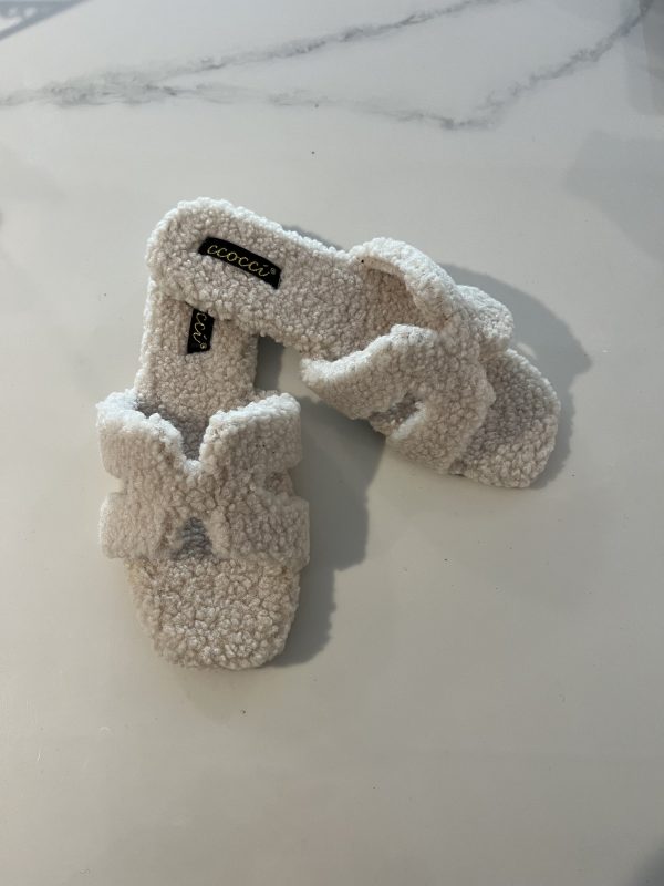 Teddy Slipper For Sale