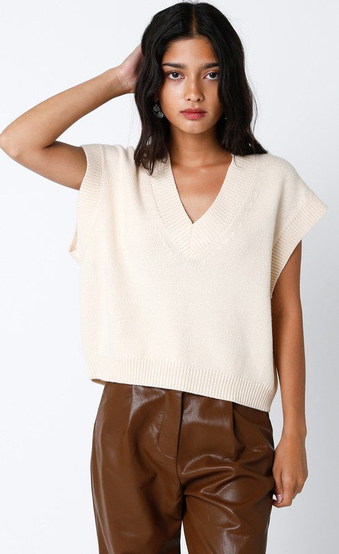 Velzie V Neck Sweater Online Sale